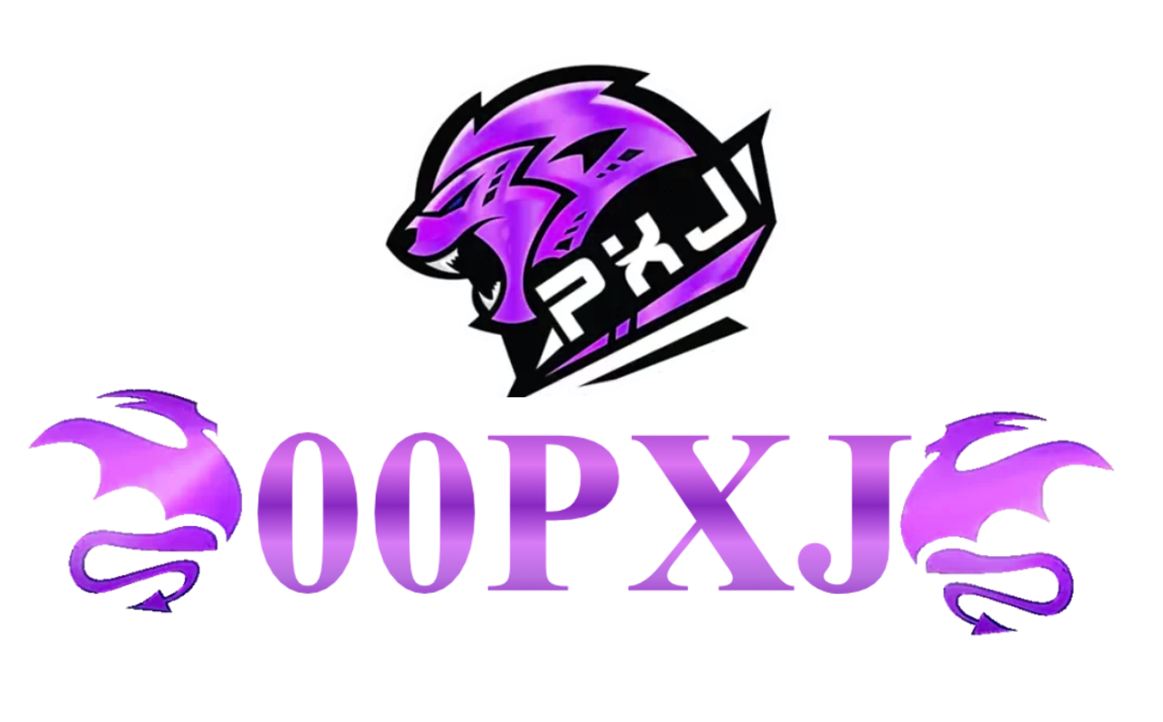 00pxj.info